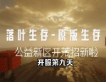 奇迹SF发布网：多样私服版本任你选，快速导航开启别样冒险