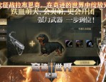 深入解析奇迹公益服：独特设定、版本差异与社交互动全揭秘