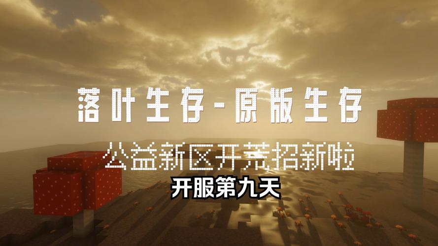 公益奇迹手游_奇迹30公益课_奇迹公益服